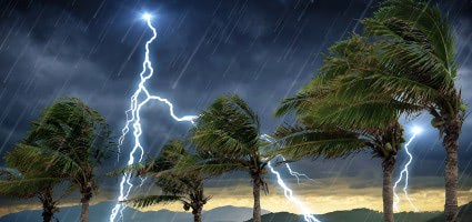 Article preview