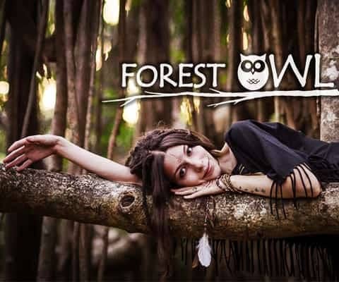 Forest Owl