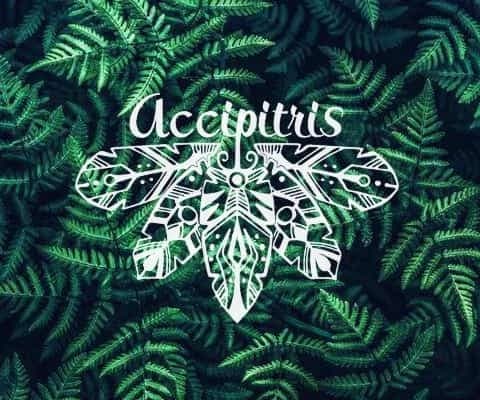 Бренд Accipitris