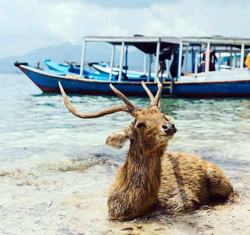 Лучшее место отдыха на Бали