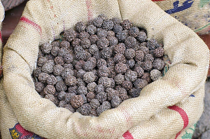 Свойства рудракши