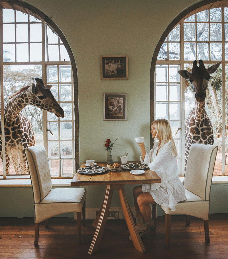 Тренд путешествий и Instagram