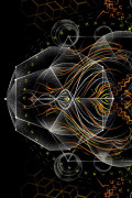 Мужская авторская футболка Mandala