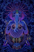 Настенный гобелен с психоделическим принтом «Ganesha»