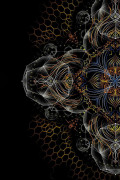 Женская кофта с принтом Mandala