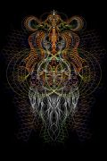 Кофта с капюшоном Brahma