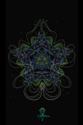 Реглан женский Yantra