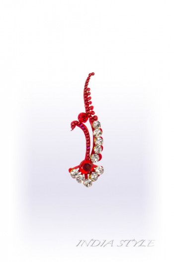 Бинди Бхригу