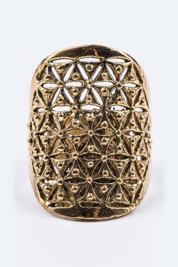 Кольцо Шунья