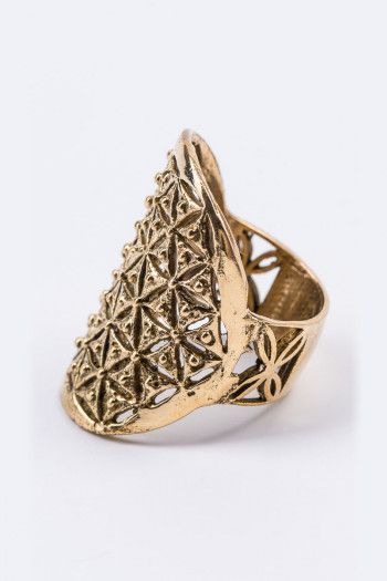 Кольцо Шунья