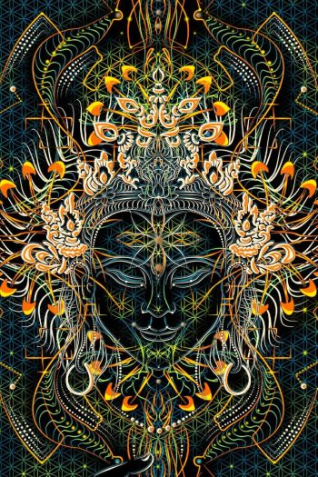 Женская кофта Nidra