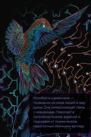 Мужская черная футболка с авторским принтом «Шаман»