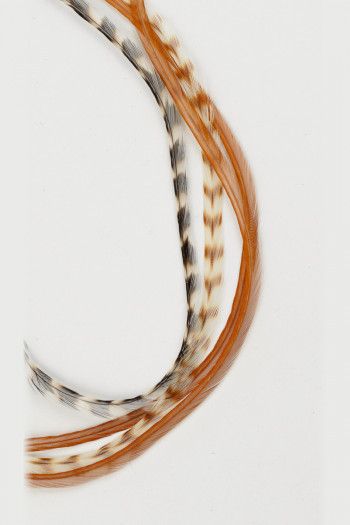 Заколка Скептрум