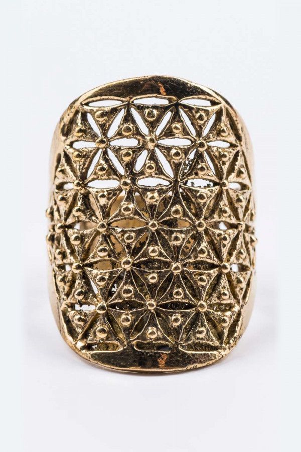 Кольцо Шунья