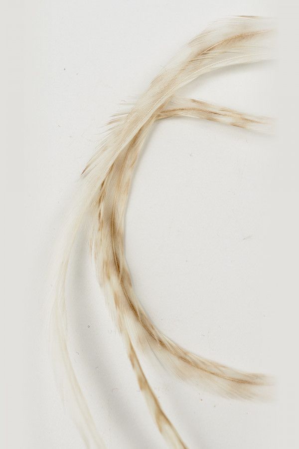 Заколка Беемим