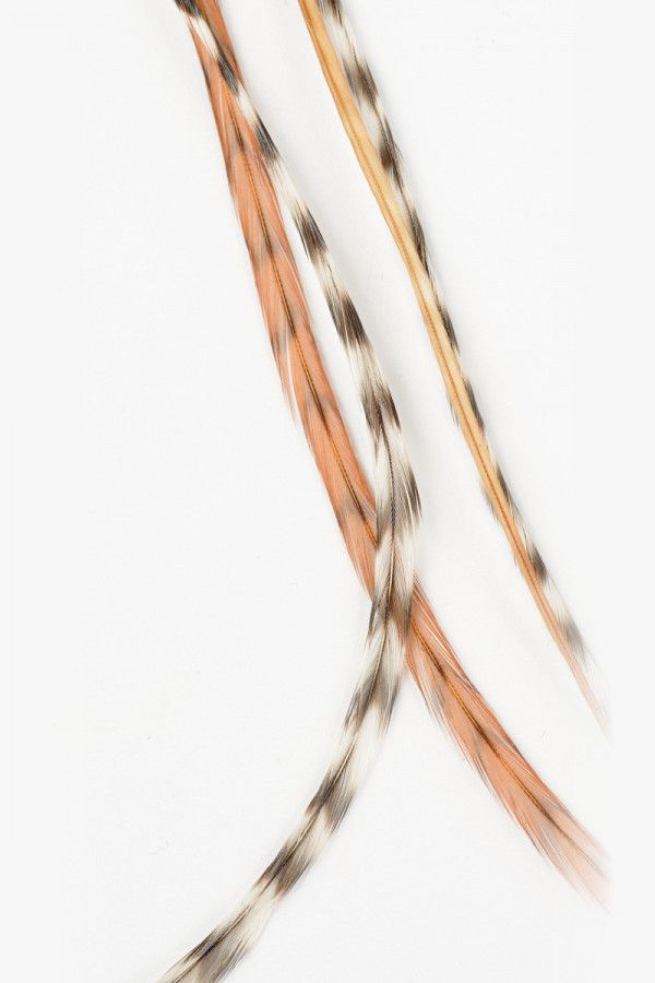 Заколка Зибаль