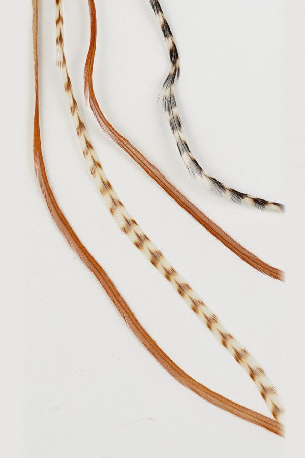 Заколка Скептрум