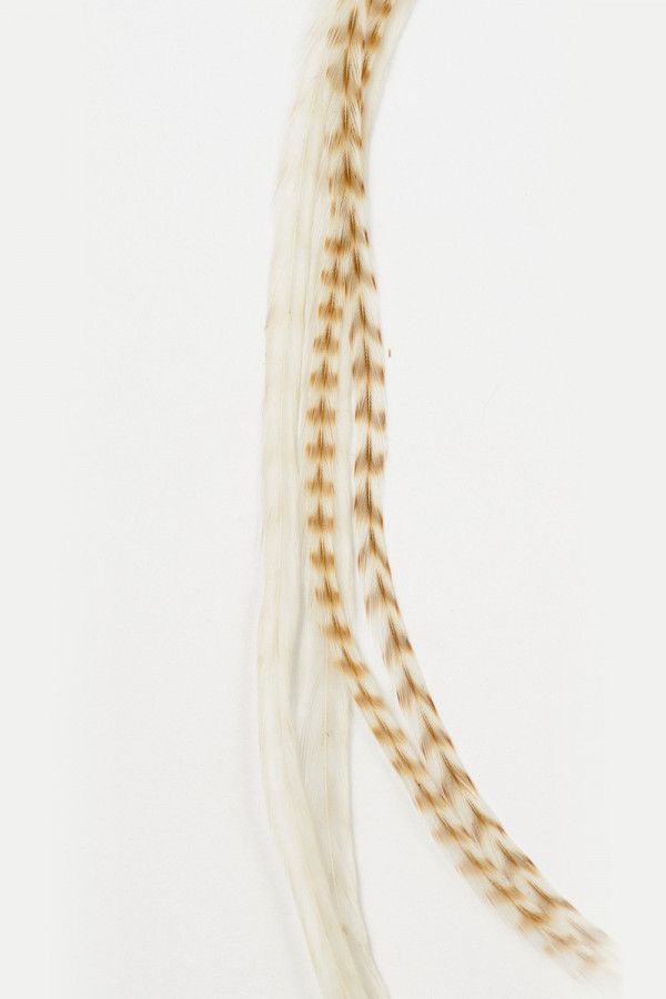 Заколка Арктика