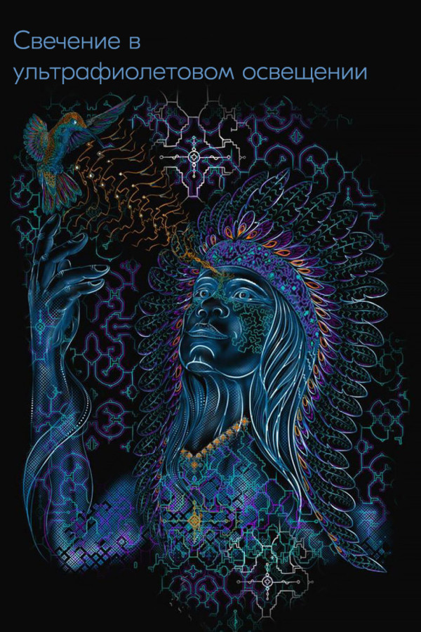 Авторская футболка «Shaman»