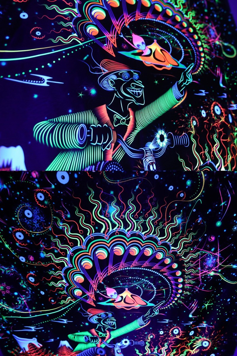 Флуоресцентное настенное полотно «Hoffmann»