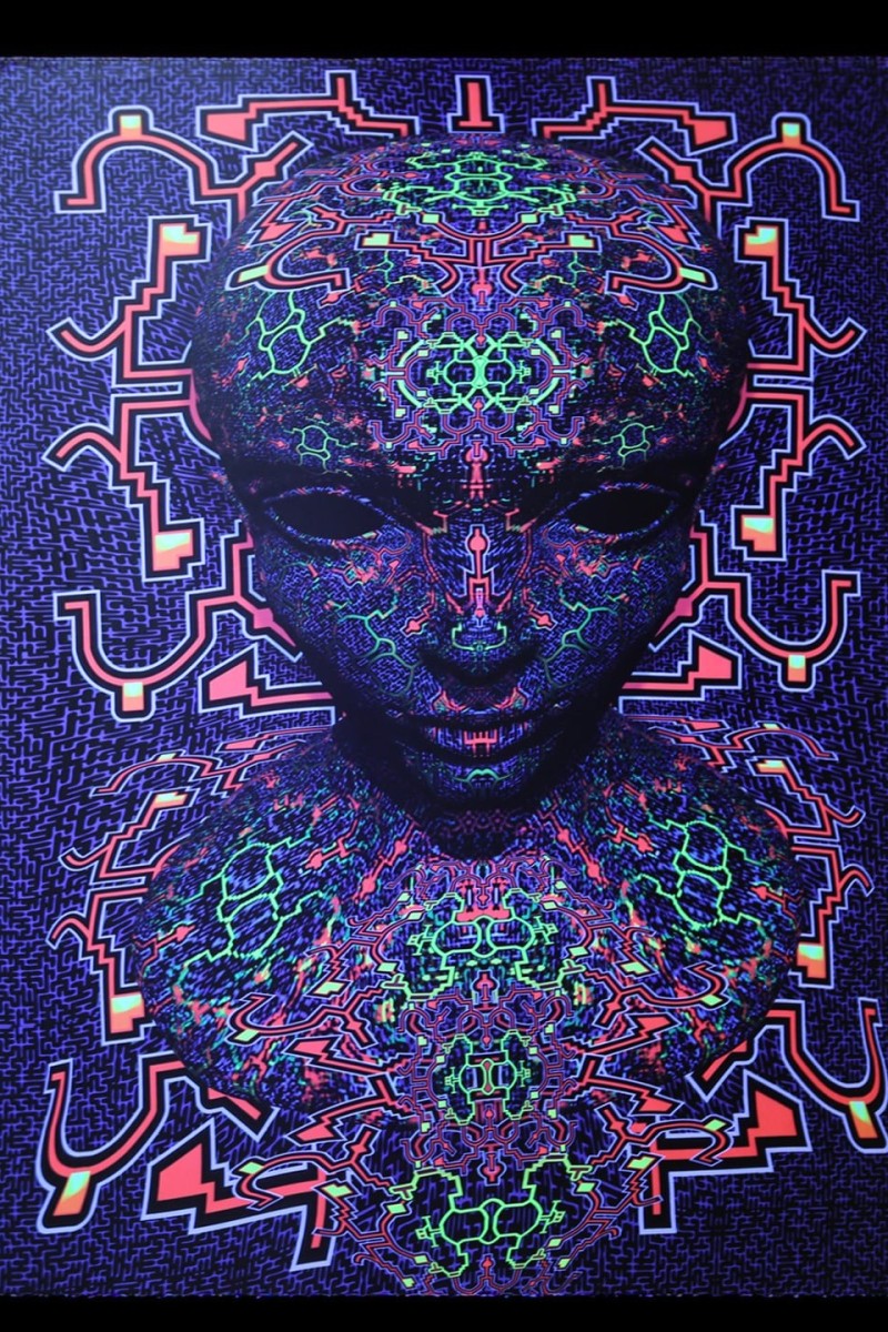 Флуоресцентное арт полотно «Хищник»