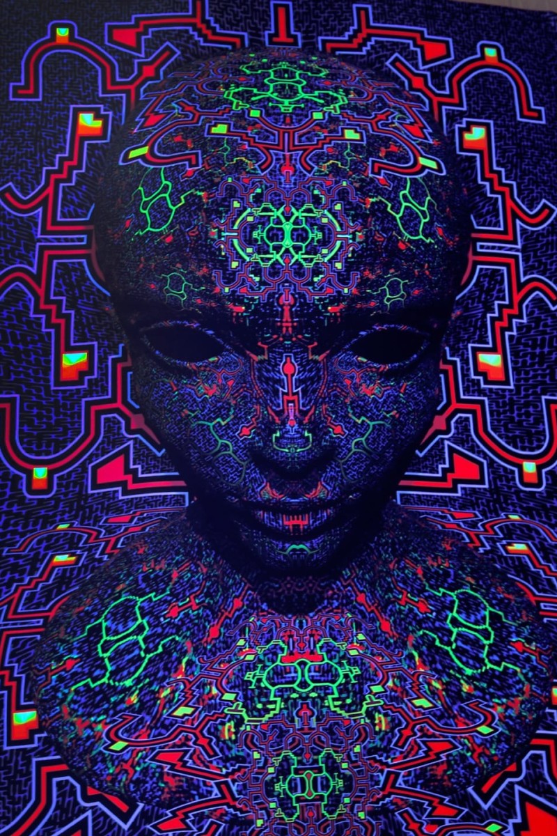 Флуоресцентное арт полотно «Хищник»