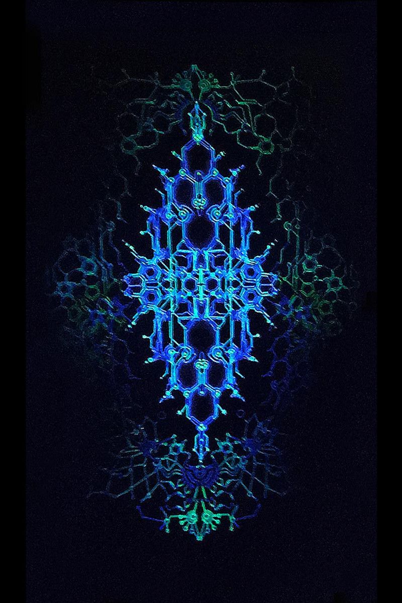 Кофта с капюшоном Robotic