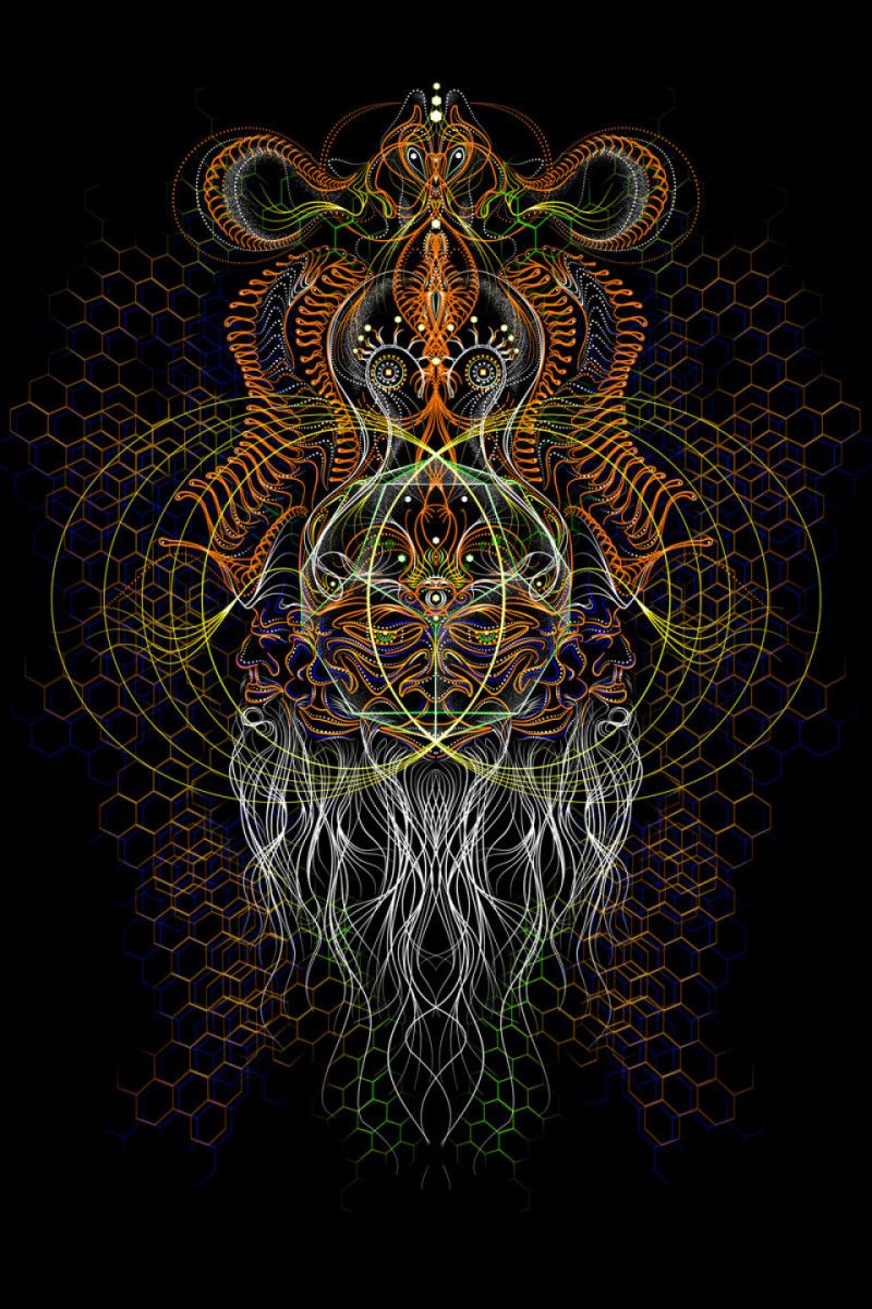 Женская авторская футболка Brahma