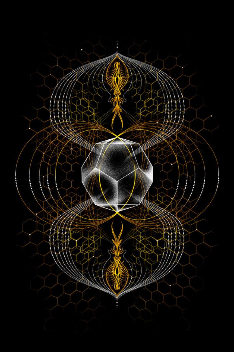 Женская авторская футболка Brahma