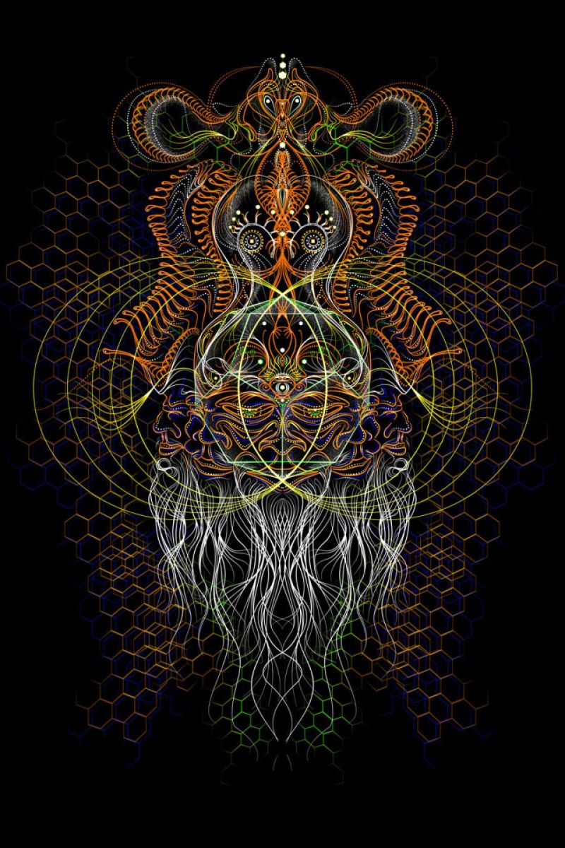 Кофта с капюшоном Brahma