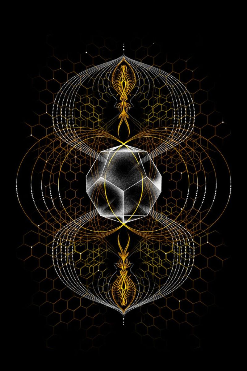 Кофта с капюшоном Brahma