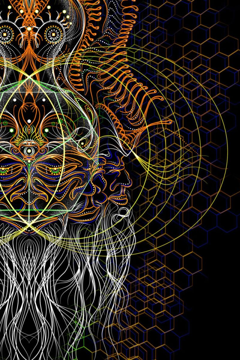 Кофта с капюшоном Brahma