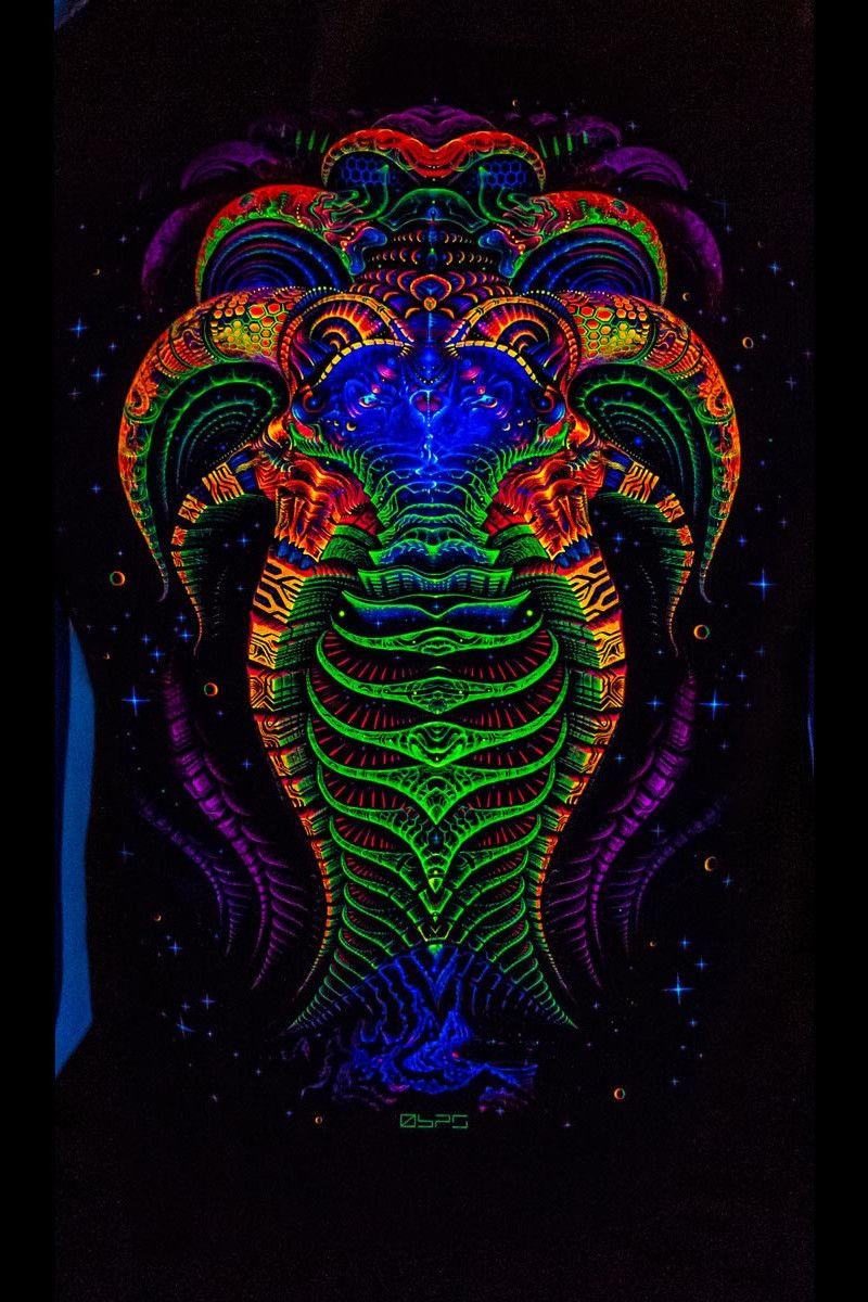 Кофта утепленная «Terraformer»